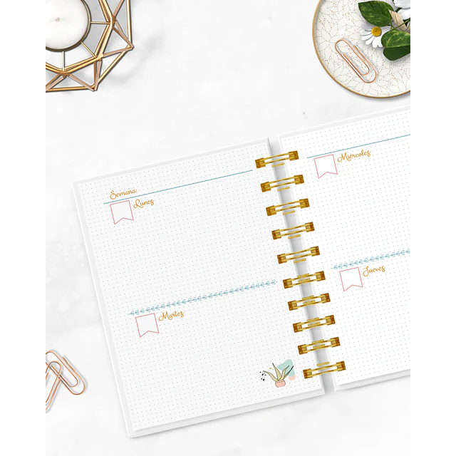Agenda Pocket Cactus A6 • Sin Fecha | Fati Papelería