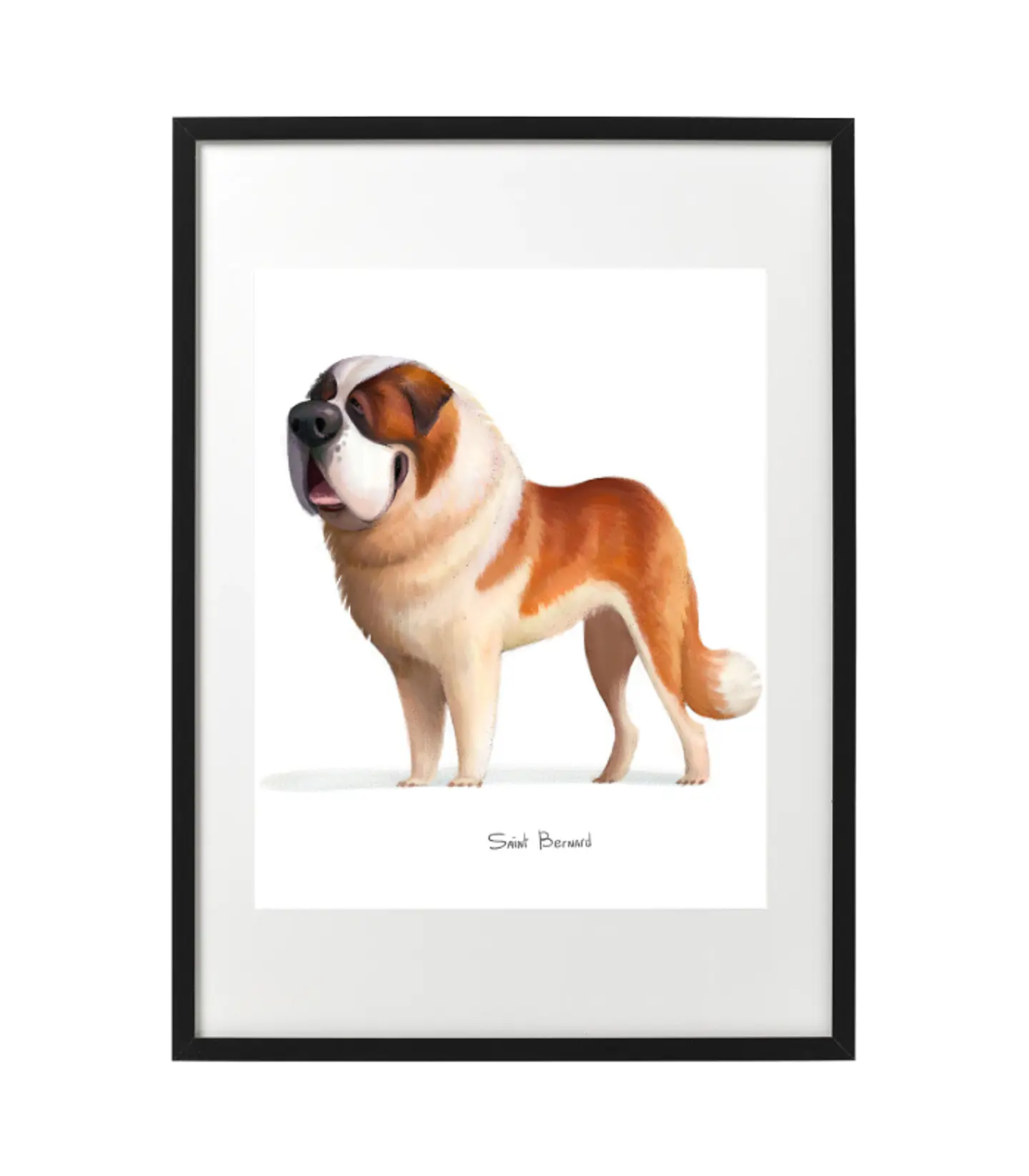 Quadro animais - Cão Saint Bernard 1