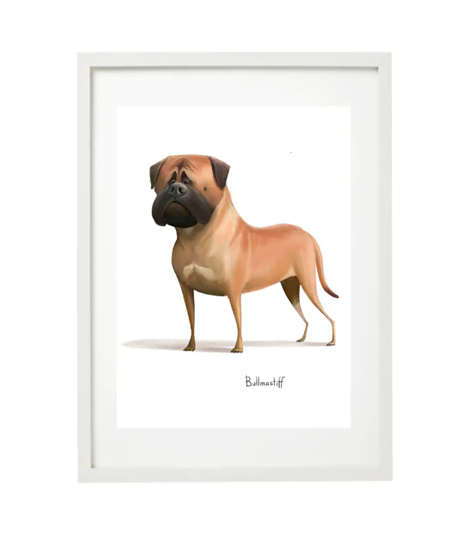 Quadro animais - Cão Bullmastiff 1