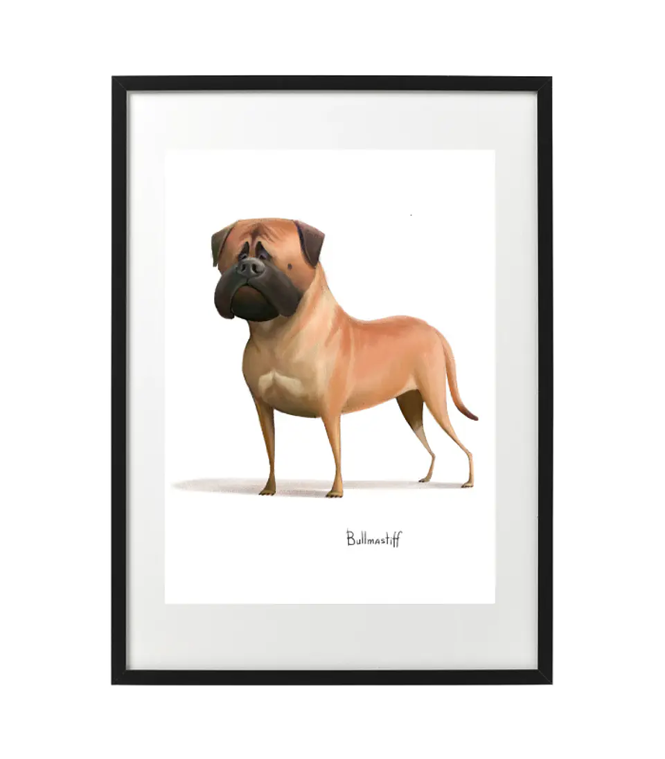 Quadro animais - Cão Bullmastiff 3