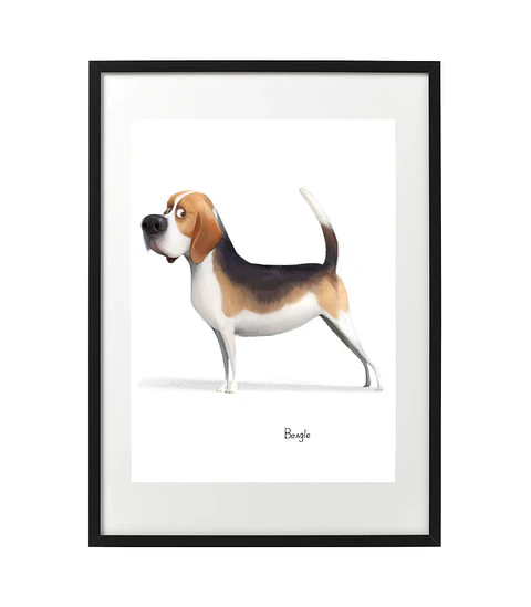 Quadro animais - Beagle