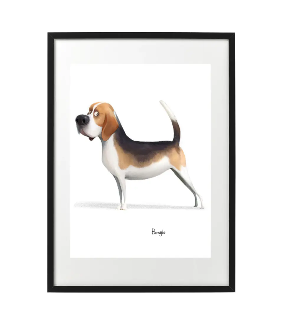 Quadro animais - Beagle 1