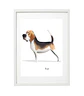 Quadro animais - Beagle - Thumbnail 3