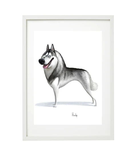 Quadro animais - Husky
