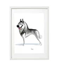 Quadro animais - Husky - Thumbnail 1