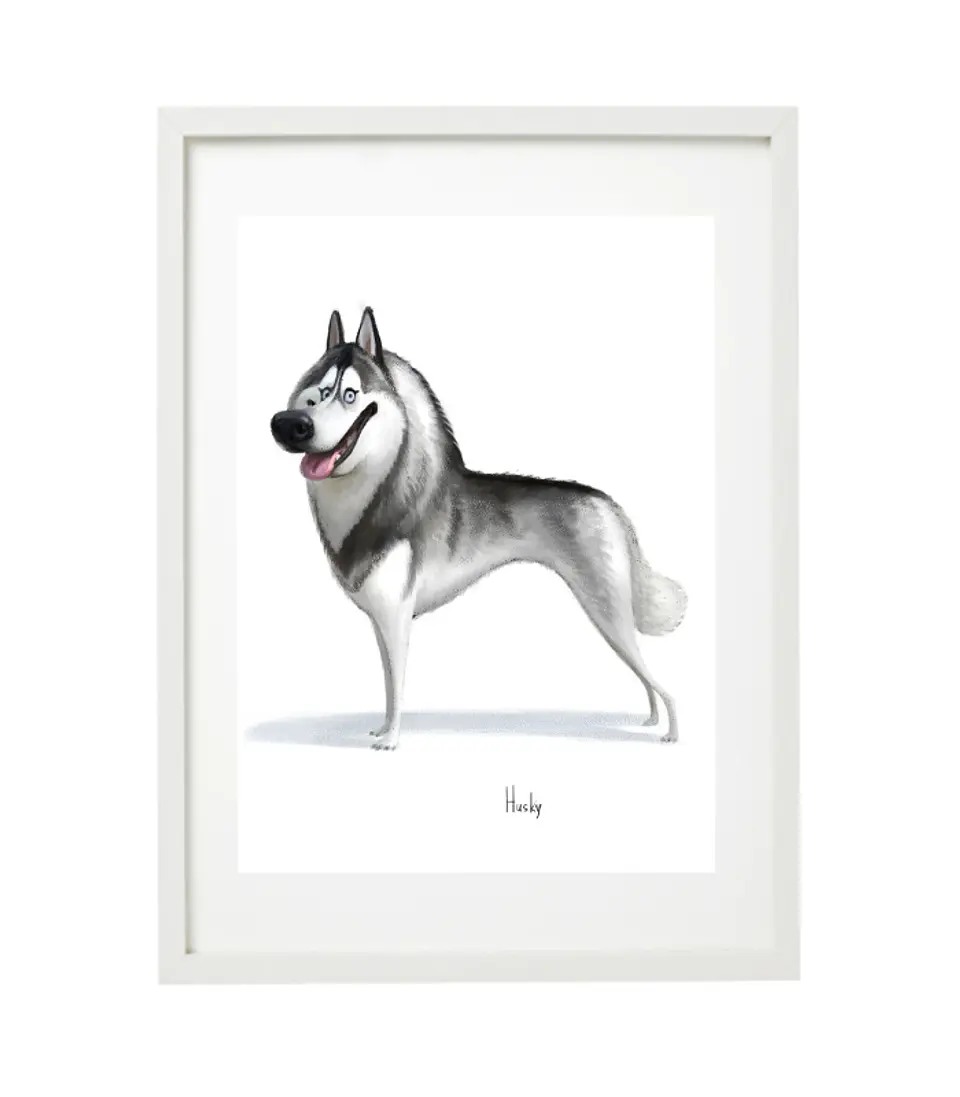 Quadro animais - Husky 1