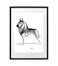 Quadro animais - Husky - Thumbnail 3