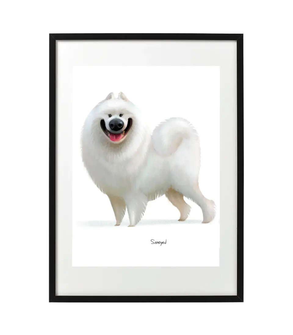 Quadro animais - Samoyed 1