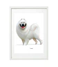 Quadro animais - Samoyed - Thumbnail 3