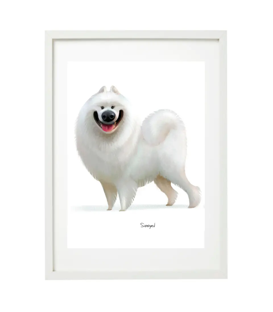 Quadro animais - Samoyed 3