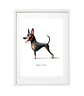 Quadro animais - Pinscher - Thumbnail 1
