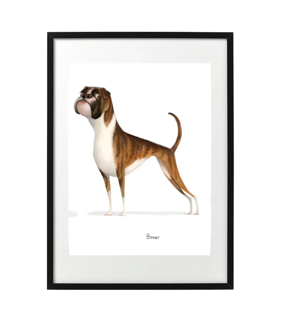Quadro animais - Boxer 1