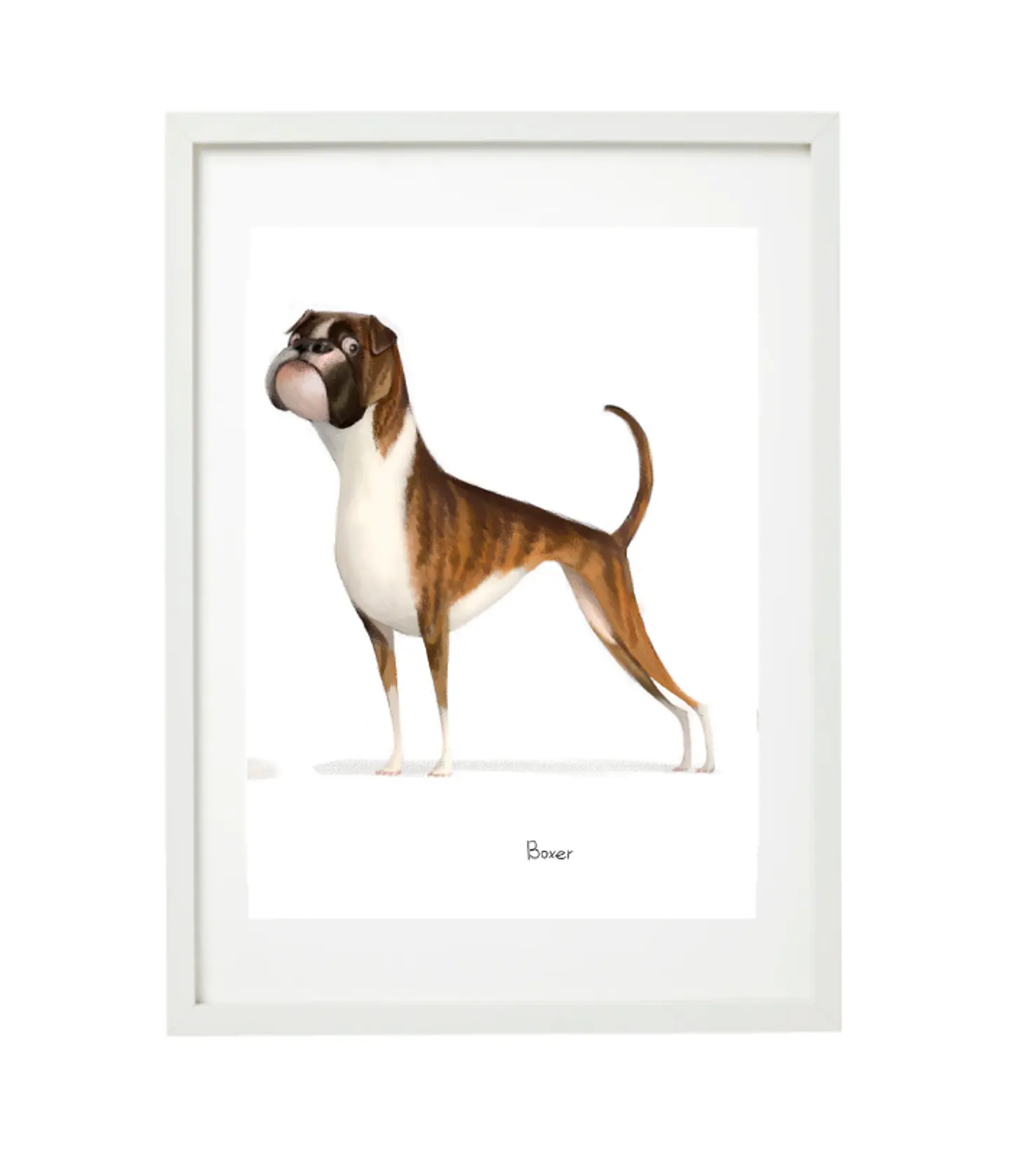 Quadro animais - Boxer 3