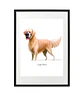 Quadro animais - Boxer - Thumbnail 1