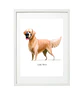 Quadro animais - Boxer - Thumbnail 3