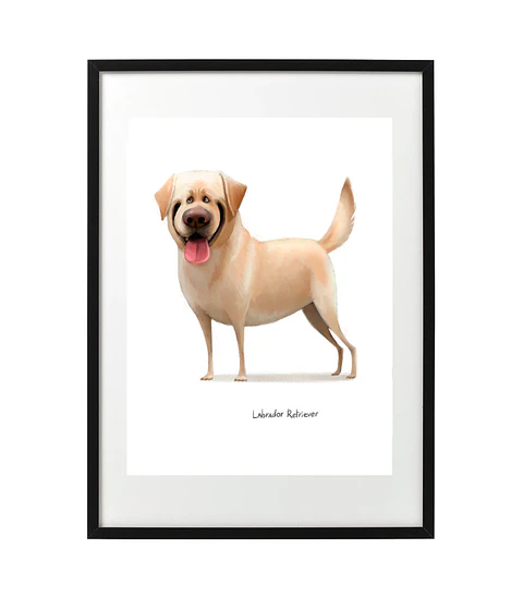 Quadro animais - Labrador