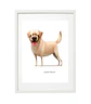 Quadro animais - Labrador - Thumbnail 3