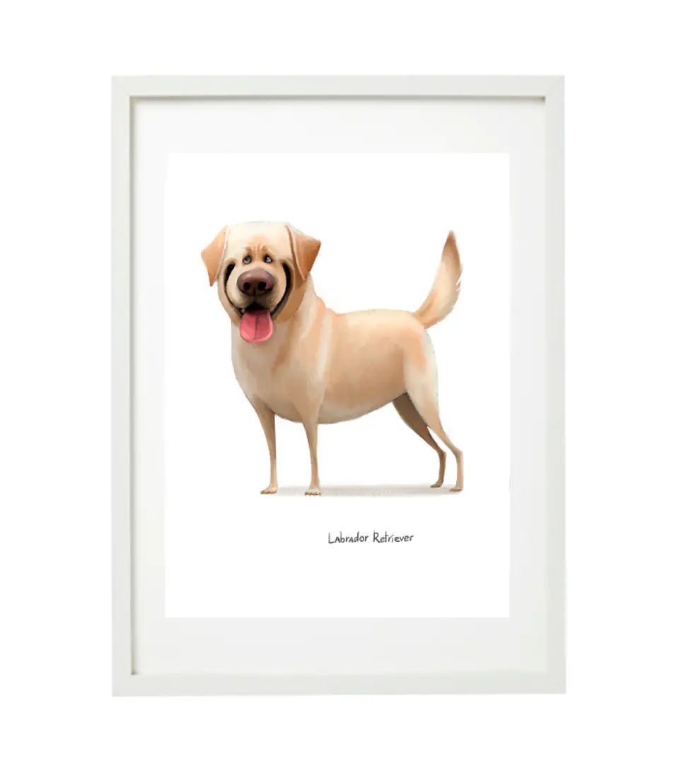 Quadro animais - Labrador 3
