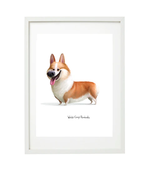 Quadro animais - Corgi