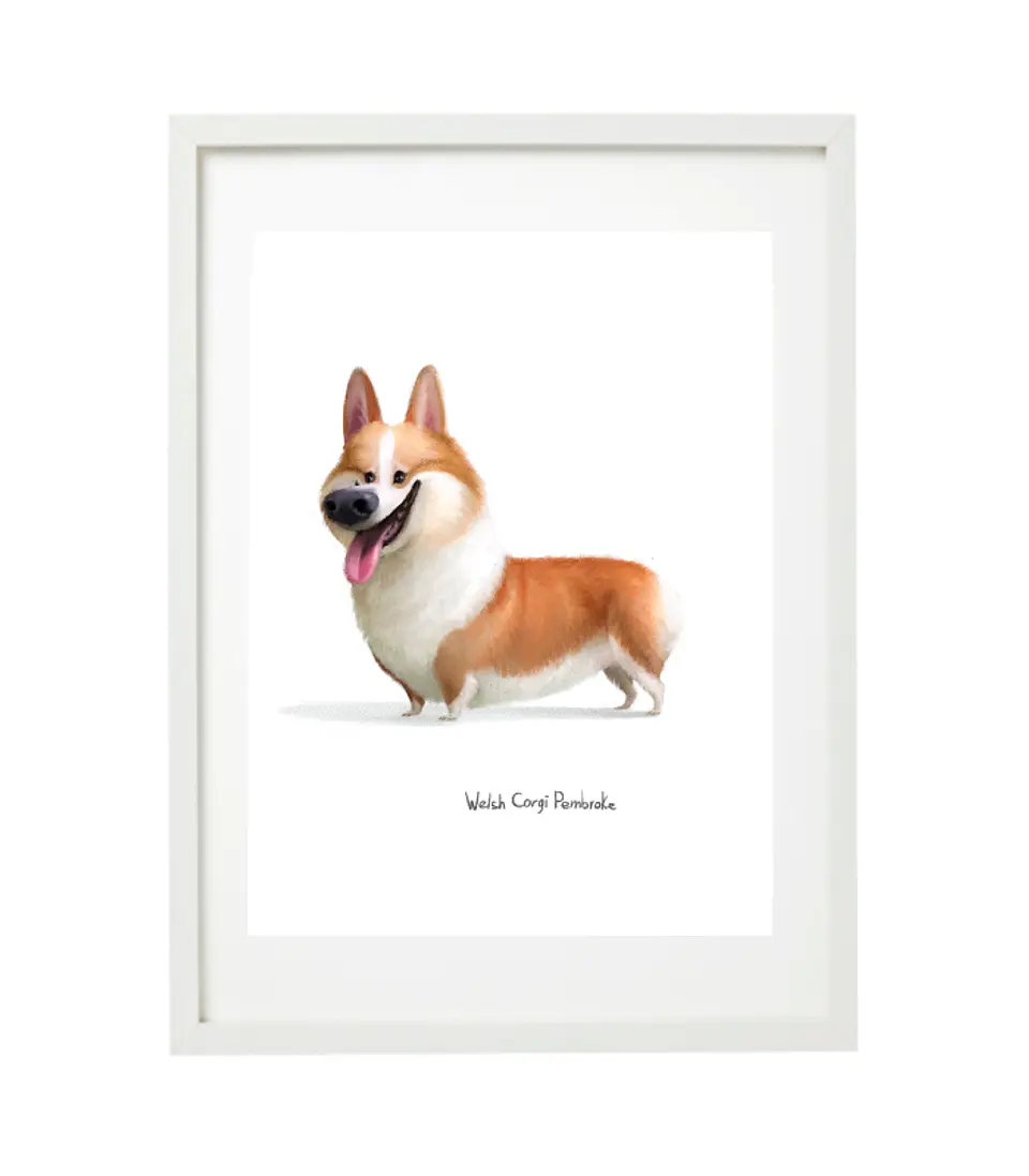 Quadro animais - Corgi 1