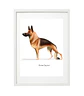 Quadro animais - German - Thumbnail 1