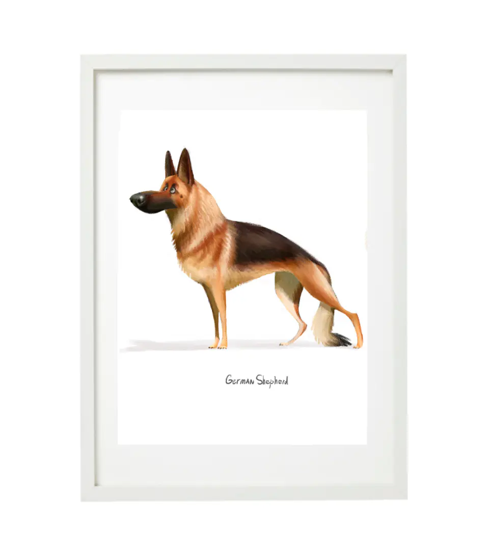 Quadro animais - German 1
