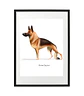 Quadro animais - German - Thumbnail 3