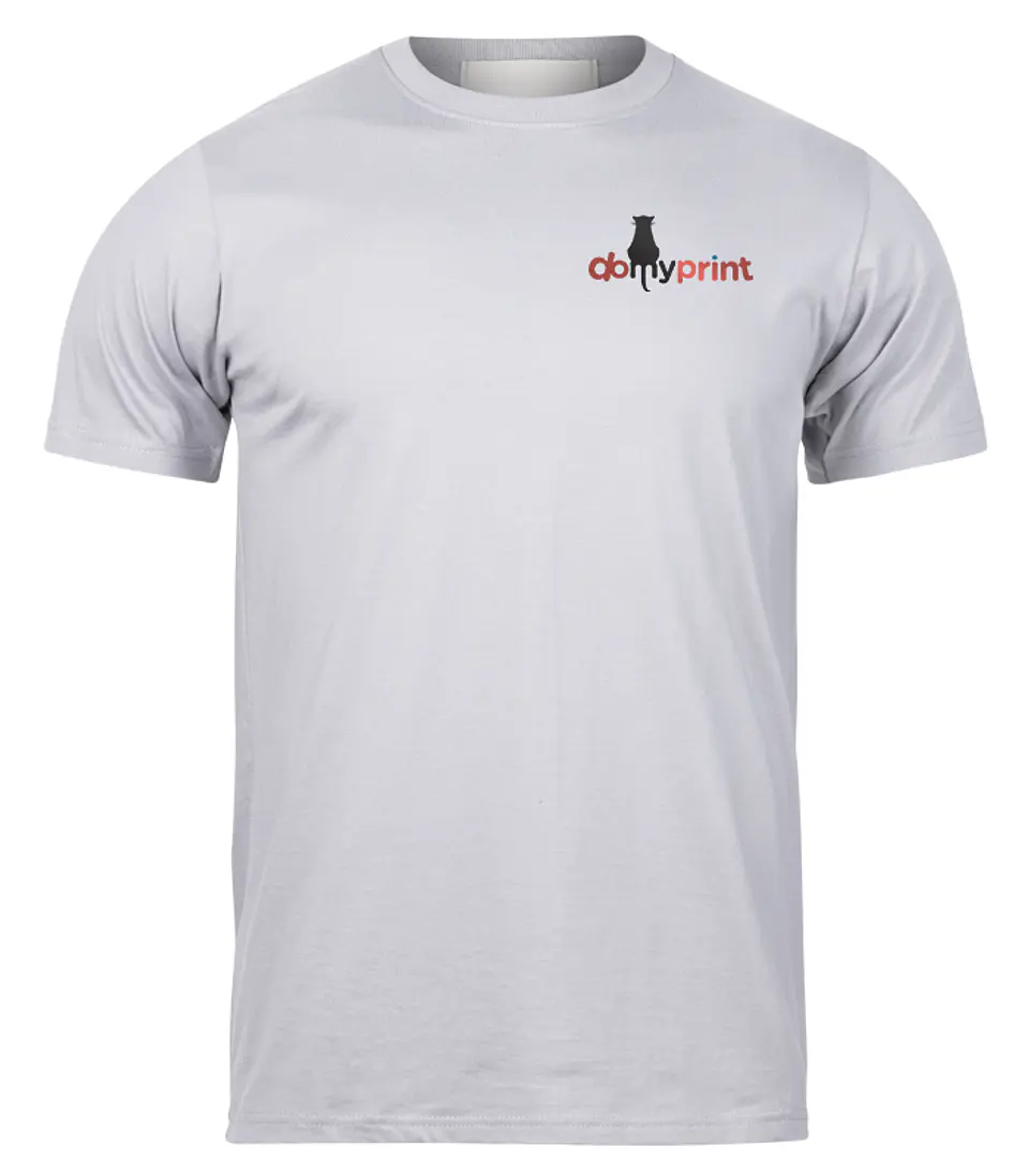 T-shirt cinzenta  1