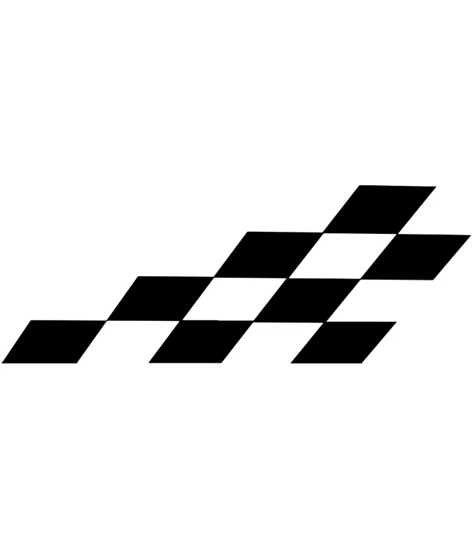 Bandeira de corrida 2