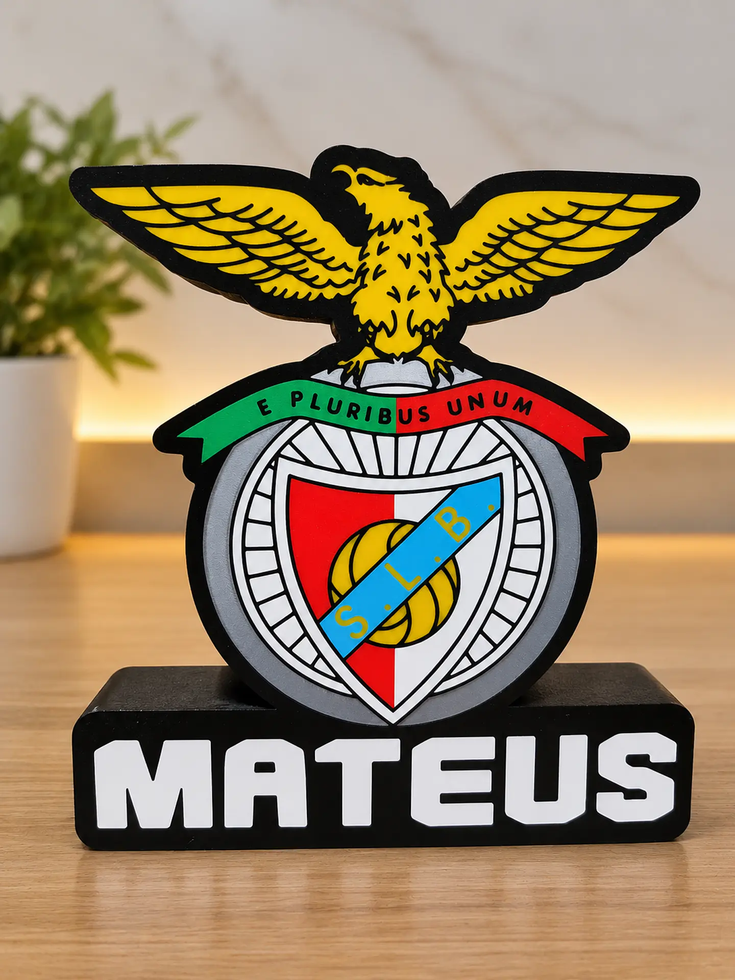 LUMINÁRIAS DE FUTEBOL 4