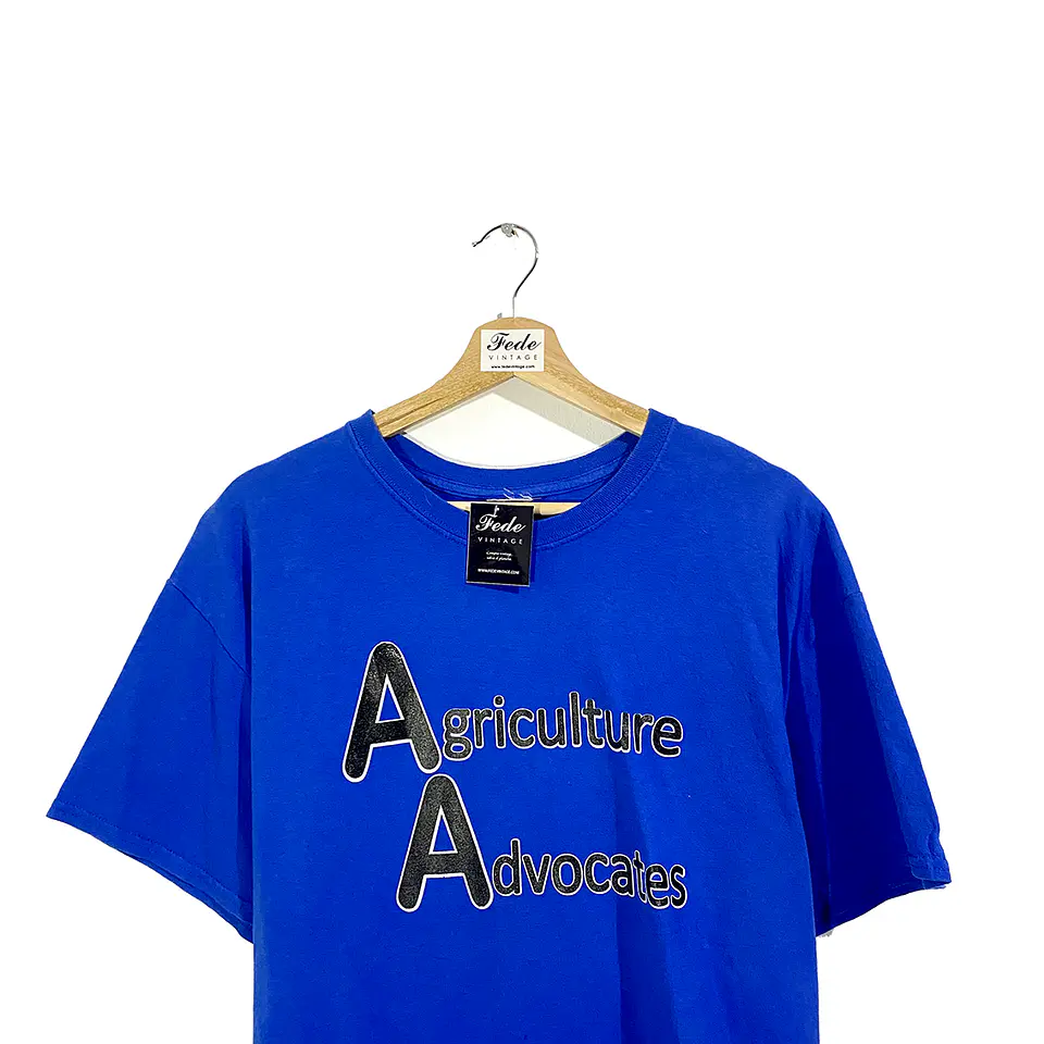 POLERA VINTAGE AZUL AA 2