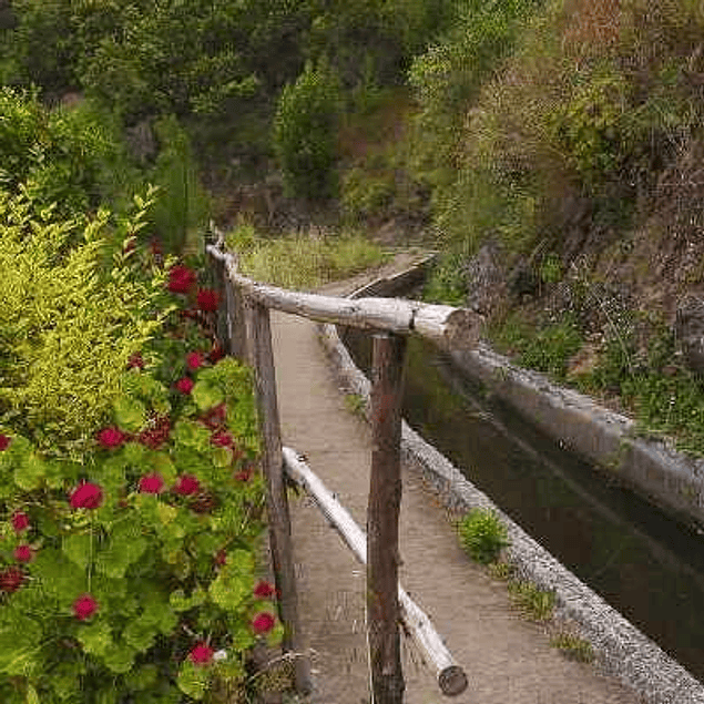 MAROÇOS & VALLÉE DE MIMOSAS