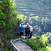 MAROÇOS & VALLÉE DE MIMOSAS