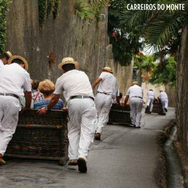 MONTE & BOTANICAL GARDEN