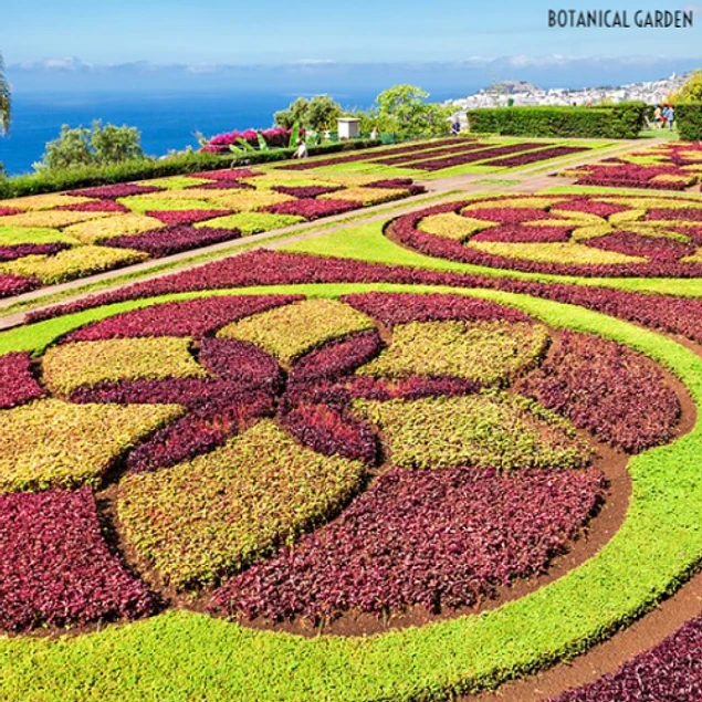 MONTE & BOTANICAL GARDEN