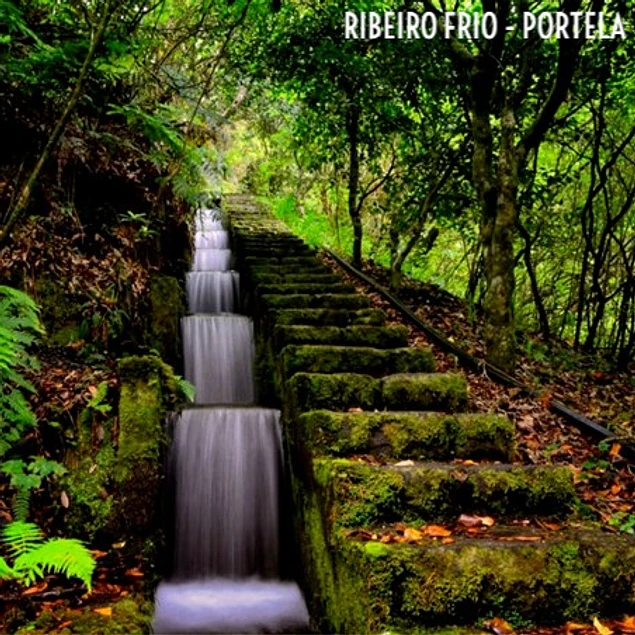 RIBEIRO FRIO & PORTELA
