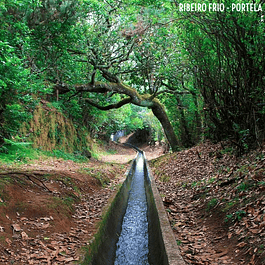 RIBEIRO FRIO I PORTELA