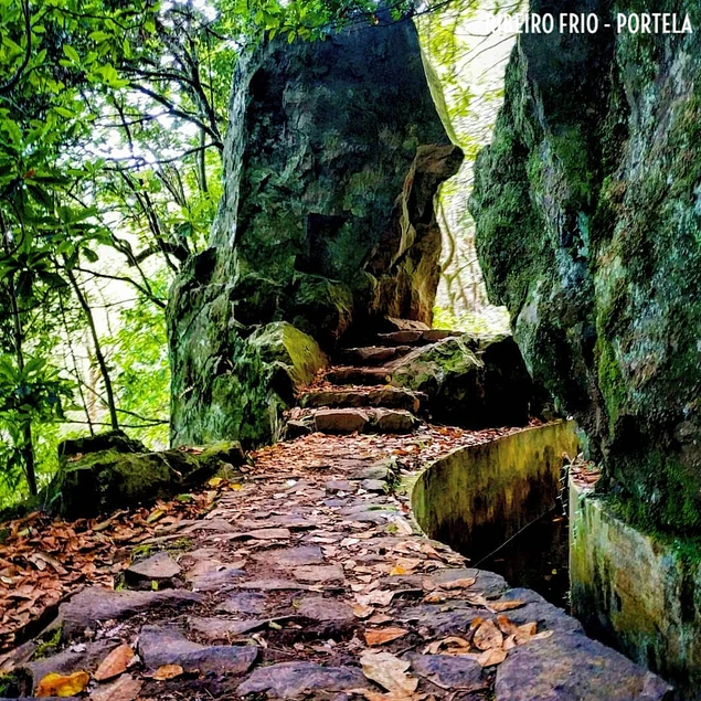 RIBEIRO FRIO & PORTELA