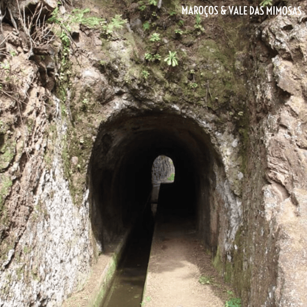 MAROÇOS Y VALLE DE LAS MIMOSAS