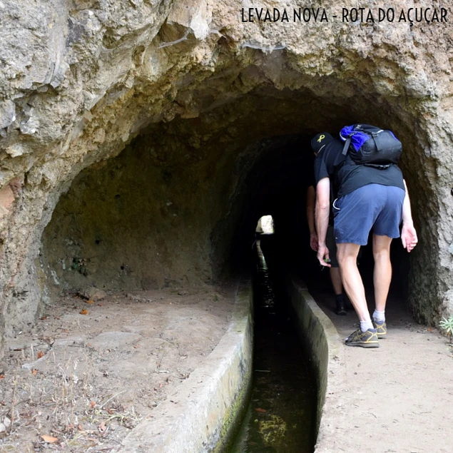 LEVADA NOVA - ROTA DO AÇUCAR