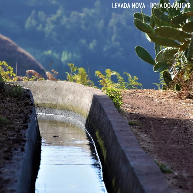 LEVADA NOVA - ROTA DO AÇUCAR