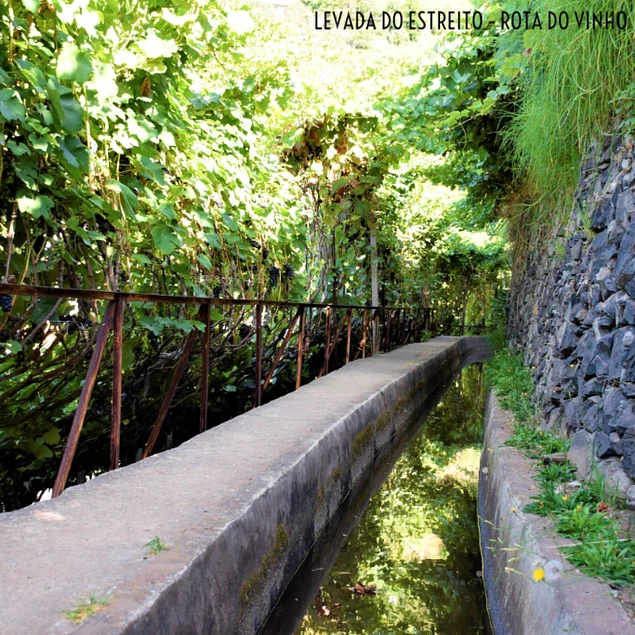 LEVADA DO ESTREITO - ROTA DO VINHO