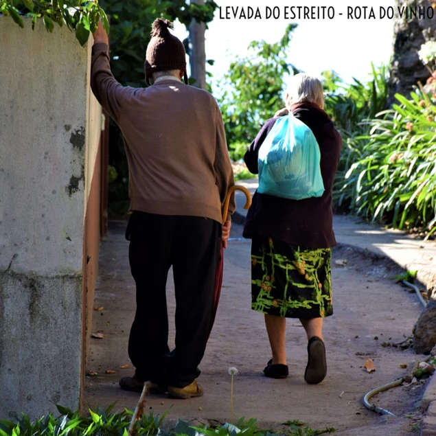 LEVADA DO ESTREITO - ROTA DO VINHO
