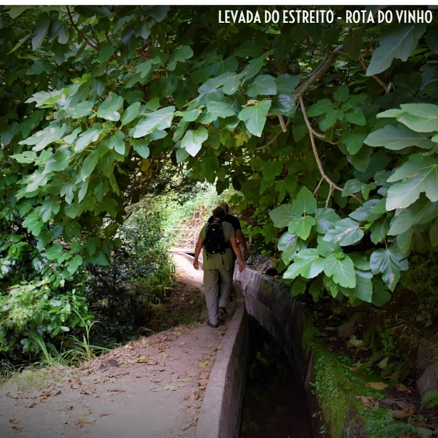 LEVADA DO ESTREITO - ROTA DO VINHO