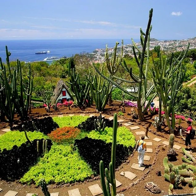 MONTE & BOTANICAL GARDEN