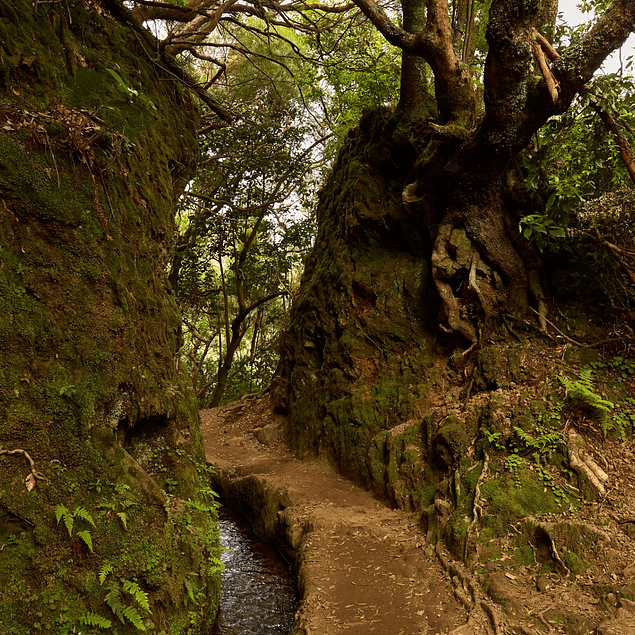 QUEIMADAS Y CALDÓN VERDE