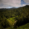 QUEIMADAS & CALDEIRÃO VERDE