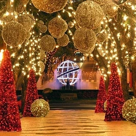 X-MAS TOUR (DECEMBER ONLY)