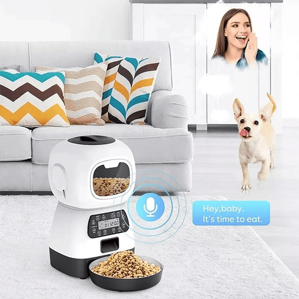 Dispensador Alimento Automático Perros Gatos Mascota Voces 1