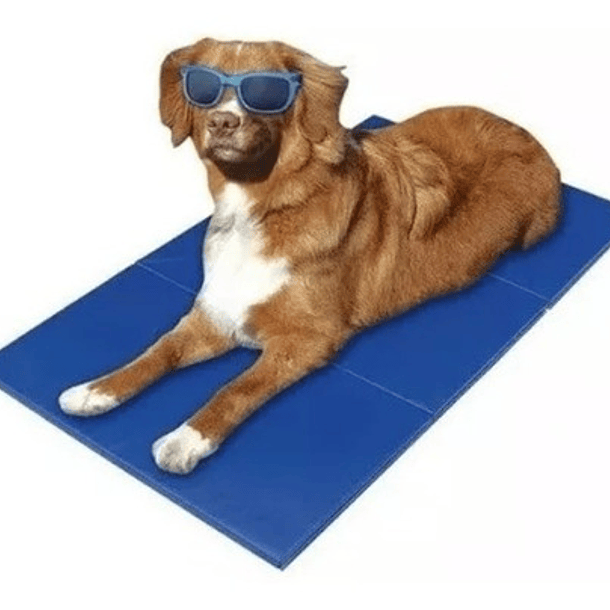 Manta Refrescante Pet Cool Mat Para Mascotas Talla L 90X50 CM 2